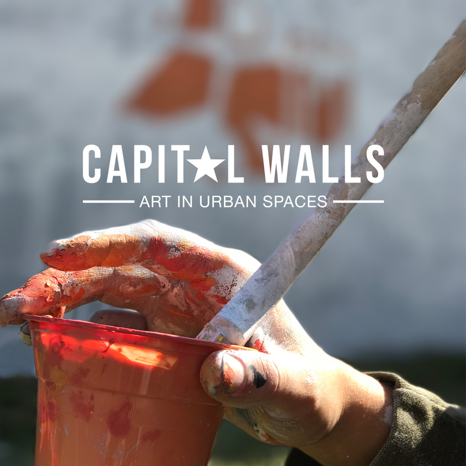 CAPITALWALLS PROMO