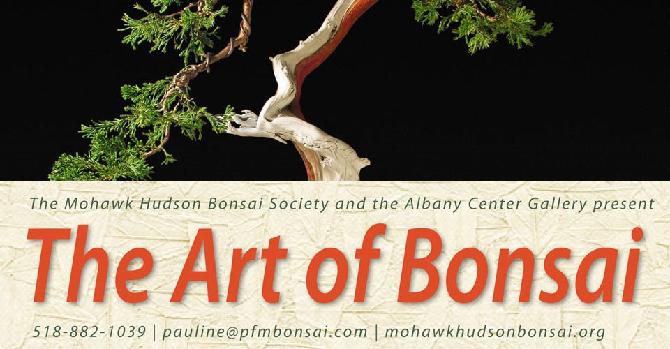 The Art of Bonsai Banner Image