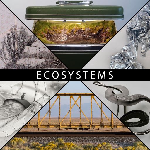 Ecosystems