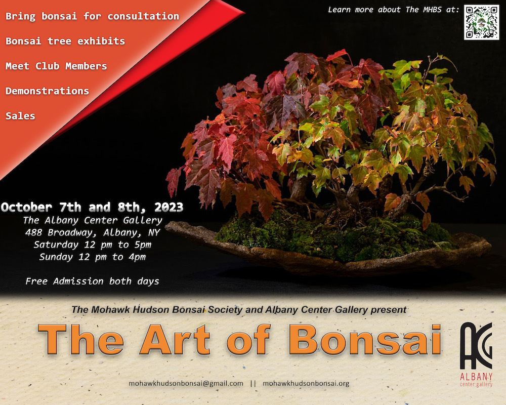 The Art of Bonsai